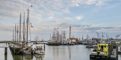 tall-ship-races-harlingen-2014-de-haven-van-harlingen-kopie